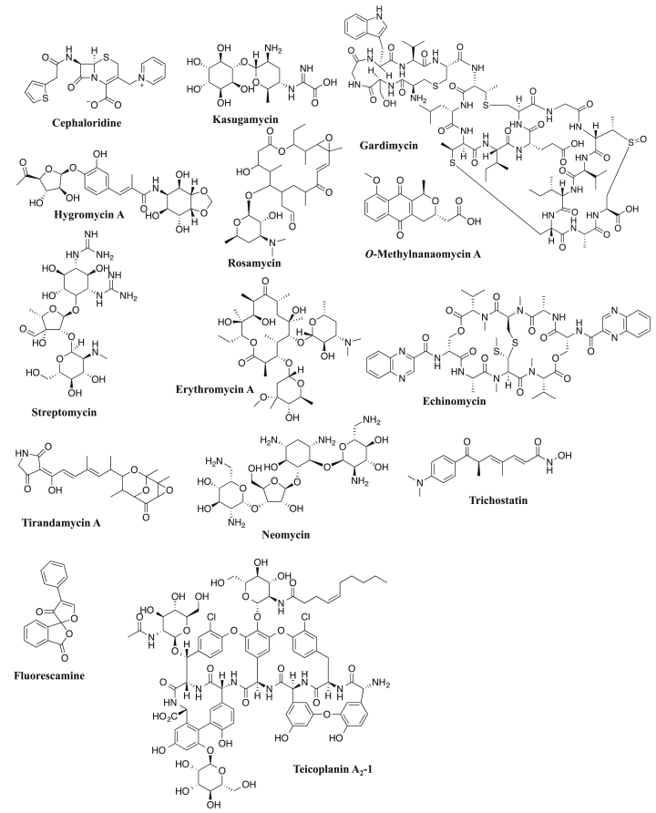 Fig. 5