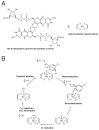 Figure 1—figure supplement 2.