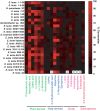 Figure 3—figure supplement 1.