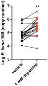 Figure 2—figure supplement 7.