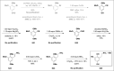 Appendix 1—scheme 6.