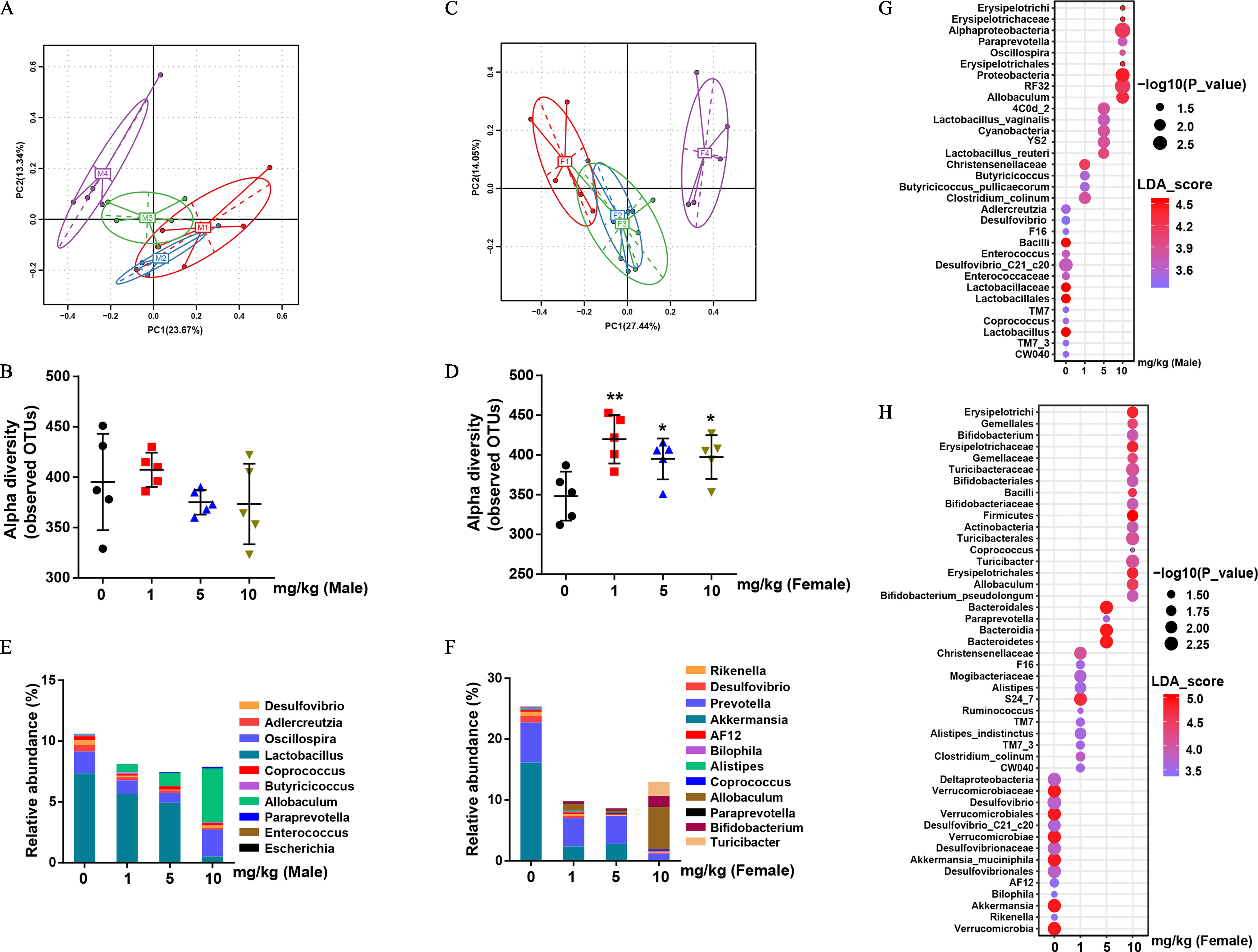 Figures 2A and 2C are Principal Component Analysis plots, plotting principal component 2 (13.34 percent), ranging from negative 0.2 to 0.6 in increments of 0.2 and principal component 2 (14.05 percent), ranging from negative 0.2 to 0.4 in increments of 0.2 (y-axis) across principal component 1 (23.67 percent), ranging from negative 0.4 to 0.6 in increments of 0.2 and across principal component 1 (27.44 percent), ranging from negative 0.4 to 0.4 in increments of 0.2 (x-axis). Figures 2B and 2D are error bar graphs, plotting Alpha diversity (observed operational taxonomic units), ranging from 300 to 500 in increments of 50 and 250 to 500 in increments of 50 (y-axis) across milligram per kilogram (male) and (female), ranging from 0 to 1 in unit increments and 1 to 10 in increments of 5 (x-axis). Figures 2E and 2F are stacked bar graphs, plotting Relative abundance (percentage), ranging from 0 to 15 in increments of 5 and 0 to 30 in increments of 10 (y-axis) across milligram per kilogram (male) and (female), ranging from 0 to 1 in unit increments and 1 to 10 in increments of 5 (x-axis) for Desulfovibrio, Adlercreutzia, Oscillospira, Lactobacillus, Coprococcus, Butyricicoccus, Allobaculum, Paraprevotella, Enterococcus, and Escherichia; and Rikenella, Desulfovibrio, Prevotella, Akkermansia, A F 12, Bilophila, Alistipes, Coprococcus, Allobaculum, Paraprevotella, Bifidobacterium, and Turicibacter. Figure 2G is a bubble plot, plotting C W 040, T M 7 underscore 3, Lactobacillus, Coprococcus, T M 7, Lactobacillales, Lactobacillaceae, Enterococcaceae, Desulfovibrio underscore C 21 underscore c 20, Enterococcus, Bacilli, F 16, Desulfovibrio, Adlercreutzia, Clostridium underscore colinum, Butyricicoccus underscore pullicaecorum, Butyricicoccus, Christensenellaceae, Lactobacillus underscore reuteri, Y S 2, Cyanobacteria, Lactobacillus underscore vaginalis, 4 C 0 d underscore 2, Allobaculum, R F 32, Proteobacteria, Erysipelotrichales, Oscillospira, Paraprevotella, Alphaproteobacteria. Erysipelotrichaceae. and Erysipelotrichi (y-axis) across milligram per kilogram (male), ranging from 0 to 1 in unit increments and 1 to 10 in increments of 5 (x-axis). A scale depicting negative log to the base 10 of (uppercase p) is ranging from 2.5 to 1.5 in decrements of 0.5. A scale depicting linear discriminant analysis underscore score is ranging from 3.6 to 4.5 in increments of 0.3. Figure 2H is a bubble plot, plotting Verrucomicrobia, Rikenella, Akkermansia, Bilophila, A F 12, Desulfovibrionales, Akkermansia underscore muciniphila, Desulfovibrionaceae, Verrucomicrobiae, Desulfovibrio underscore C 21 underscore c 20, Verrucomicrobiales, Desulfovibrio, Verrucomicrobiaceae, Deltaproteobacteria, C W 040 ,Clostridium underscore colinum, T M 7 underscore 3, Alistipes underscore indistinctus, T M 7, Ruminococcus, S 24 underscore 7, Alistipes, Mogibacteriaceae, F 16, Christensenellaceae, Bacteroidetes, Bacteroidia, Paraprevotella, Bacteroidales, Bifidobacterium underscore pseudolongum, Allobaculum, Erysipelotrichales, Turicibacter, Coprococcus, Turicibacterales, Actinobacteria, Firmicutes, Bifidobacteriaceae, Bacilli, Bifidobacteriales, Turicibacteraceae, Gemellaceae, Erysipelotrichaceae, Bifidobacterium, Gemellales, and Erysipelotrich (y-axis) across milligram per kilogram (female), ranging from 0 to 1 in unit increments and 1 to 10 in increments of 5 (x-axis). A scale depicting negative log to the base 10 of (uppercase p) is ranging from 2.25 to 1.50 in decrements of 0.25. A scale depicting linear discriminant analysis underscore score is ranging from 3.5 to 5.0 in increments of 0.5.
