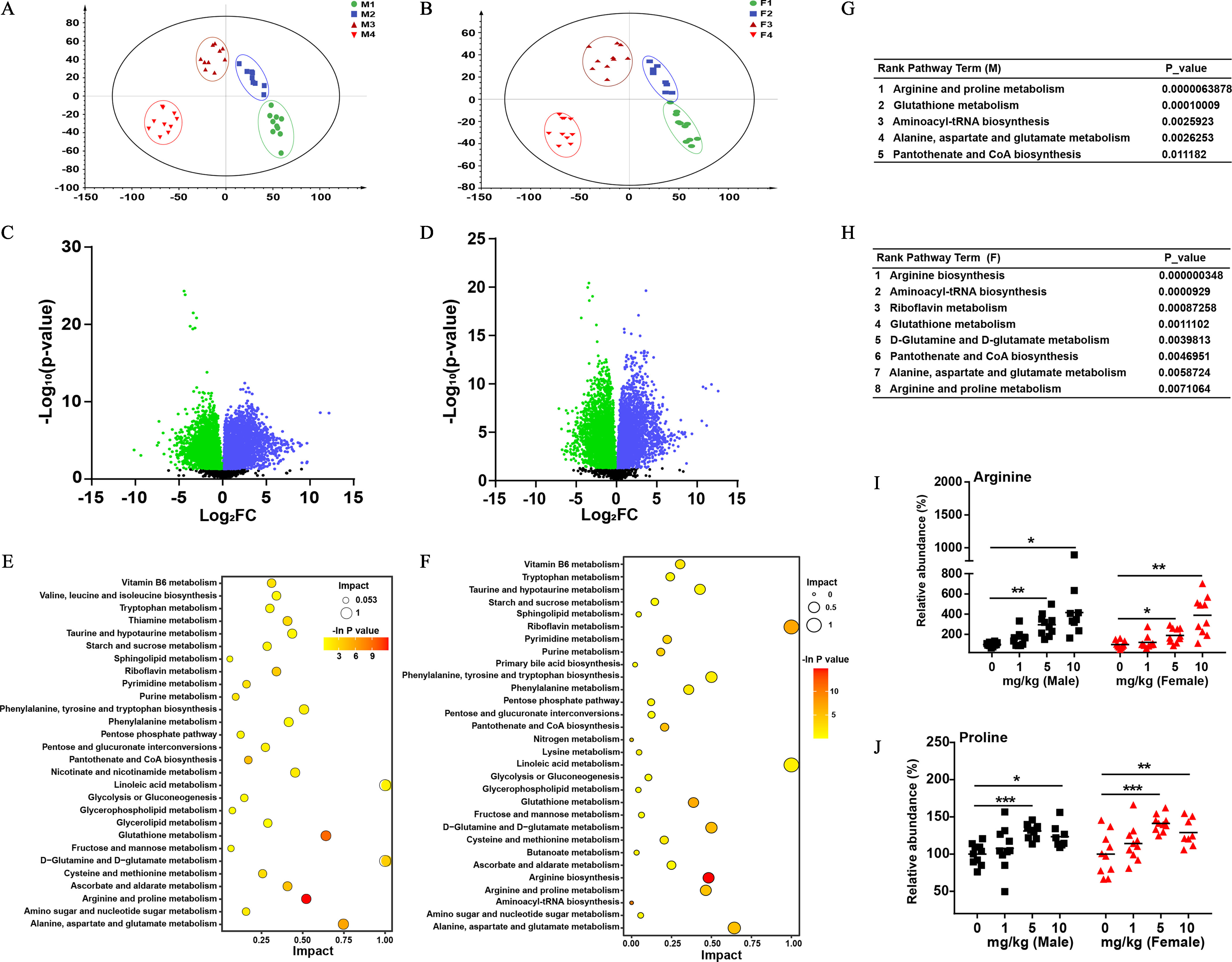 Figures 3A and 3B are Principal Component Analysis plots, plotting Partial Least-Squares Discriminant Analysis score, ranging from negative 100 to 80 in increments of 20 and negative 80 to 60 in increments of 20 (y-axis) across metabolome in the livers, ranging from negative 150 to 100 in increments of 50 (x-axis) for F1, F2, F3, and F4. Figures 3C and 3D are volcano plots negative log to the base 10 (lowercase p), ranging from 0 to 30 in increments of 10 and 0 to 25 in increments of 5 (y-axis) across log to the base 2 F C, ranging from negative 15 to 15 in increments of 5 (x-axis). Figure 3E is a dot graph, plotting Alanine, aspartate and glutamate metabolism; Amino sugar and nucleotide sugar metabolism; Arginine and proline metabolism; Ascorbate and aldarate metabolism; Cysteine and methionine metabolism; D−Glutamine and D−glutamate metabolism; Fructose and mannose metabolism; Glutathione metabolism; Glycerolipid metabolism; Glycerophospholipid metabolism; Glycolysis or Gluconeogenesis; Linoleic acid metabolism; Nicotinate and nicotinamide metabolism; Pantothenate and Co A biosynthesis; Pentose and glucuronate interconversions; Pentose phosphate pathway; Phenylalanine metabolism Phenylalanine, tyrosine and tryptophan biosynthesis; Purine metabolism; Pyrimidine metabolism; Riboflavin metabolism; Sphingolipid metabolism; Starch and sucrose metabolism; Taurine and hypotaurine metabolism; Thiamine metabolism; Tryptophan metabolism; Valine, leucine and isoleucine biosynthesis; and Vitamin B6 metabolism (y-axis) across Impact, ranging from 0.25 to 1.00 in increments 0.25 (x-axis). A scale depicting impact is ranging from 1 to 0.053 in decrements of 0.947. A scale depicting negative in uppercase p is ranging from 3 to 9 in increments of 3. Figure 3F is a dot graph, plotting Alanine, aspartate and glutamate metabolism; Amino sugar and nucleotide sugar metabolism; Aminoacyl-t R N A biosynthesis; Arginine and proline metabolism; Arginine biosynthesis; Ascorbate and aldarate metabolism; Butanoate metabolism; Cysteine and methionine metabolism; D−Glutamine and D−glutamate metabolism; Fructose and mannose metabolism; Glutathione metabolism; Glycerophospholipid metabolism; Glycolysis or Gluconeogenesis; Linoleic acid metabolism; Lysine metabolism; Nitrogen metabolism; Pantothenate and Co A biosynthesis; Pentose and glucuronate interconversions; Pentose phosphate pathway; Phenylalanine metabolism; Phenylalanine, tyrosine and tryptophan biosynthesis; Primary bile acid biosynthesis; Purine metabolism; Pyrimidine metabolism; Riboflavin metabolism; Sphingolipid metabolism; Starch and sucrose metabolism; Taurine and hypotaurine metabolism; Tryptophan metabolism ; and Vitamin B6 metabolism (y-axis) across impact, ranging from 0.00 to 1.00 in increments of 0.25 (x-axis). A scale depicting impact is ranging from 1 to 0 in decrements of 0.5. A scale depicting negative in uppercase p is ranging from 5 to 10 in increments of 5. Figure 3G is a tabular representation with five rows and two columns, namely, Rank pathway term (uppercase m) and uppercase p. Row 1: Arginine and proline metabolism and 0.0000063878. Row 2: Glutathione metabolism and 0.00010009. Row 3: Aminoacyl-t R N A biosynthesis and 0.0025923. Row 4: Alanine, aspartate, and glutamate metabolism and 0.0026253. Row 5: Pantothenate and Co A biosynthesis and 0.011182. Figure 3H is a tabular representation with eight rows and two columns, namely, Rank pathway term (uppercase f) and uppercase p. Row 1: Arginine biosynthesis and 0.000000348. Row 2: Aminoacyl-t R N A biosynthesis and 0.0000929. Row 3: Riboflavin metabolism and 0.00087258. Row 4: Glutathione metabolism and 0.0011102. Row 5: D-Glutamine and D-glutamate metabolism and 0.0039813. Row 6: Pantothenate and Co A biosynthesis and 0.0046951. Row 7: Alanine, aspartate, and glutamate metabolism and 0.0058724. Row 8: Arginine and proline metabolism and 0.0071064. Figure 3I is a set of two error bar graphs titled Arginine, plotting Relative abundance (percentage), ranging from 200 to 800 in increments of 200 and 1000 to 2000 in increments of 500 (y-axis) across milligram per kilogram (male) and (female), ranging from 0 to 1 in unit increments and 1 to 10 in increments of 5 (x-axis). Figure 3J is a set of two error bar graphs titled Proline, plotting Relative abundance (percentage), ranging from 50 to 250 in increments of 50 (y-axis) across milligram per kilogram (male) and (female), ranging from 0 to 1 in unit increments and 1 to 10 in increments of 5 (x-axis).