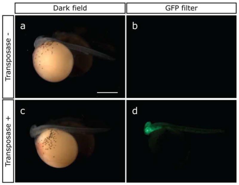 Fig.1