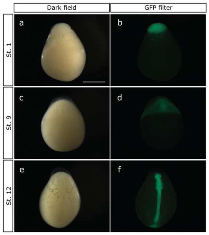 Fig.3