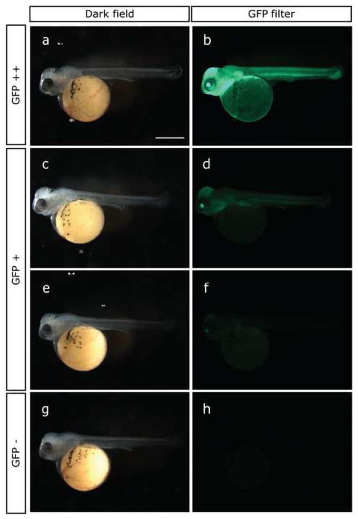 Fig.2