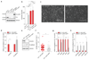 Extended Data Figure 5