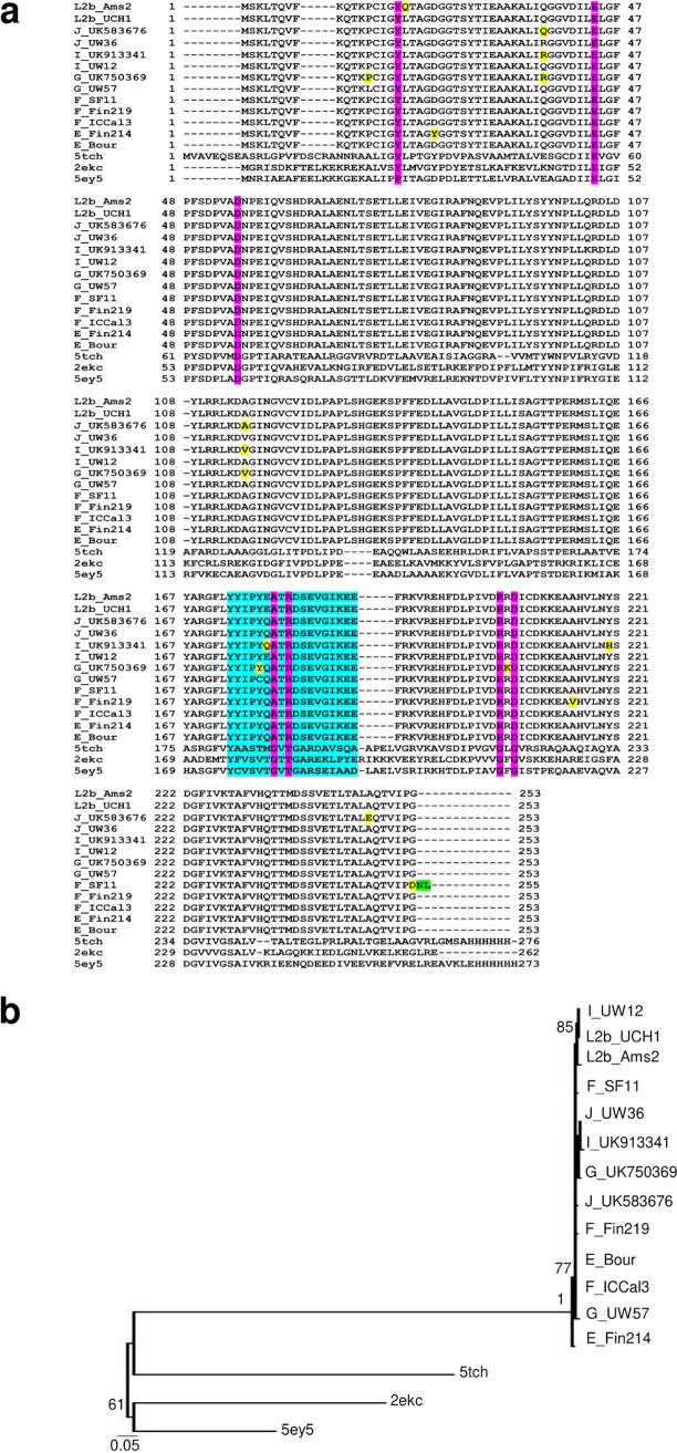 FIG 11