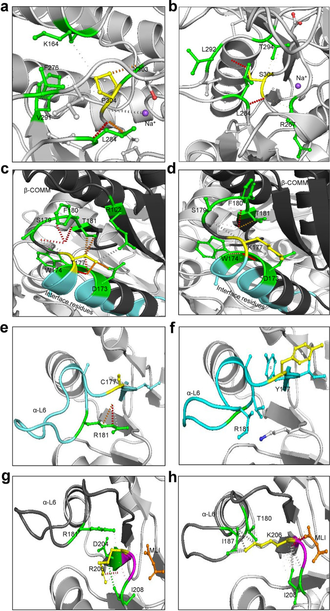 FIG 12