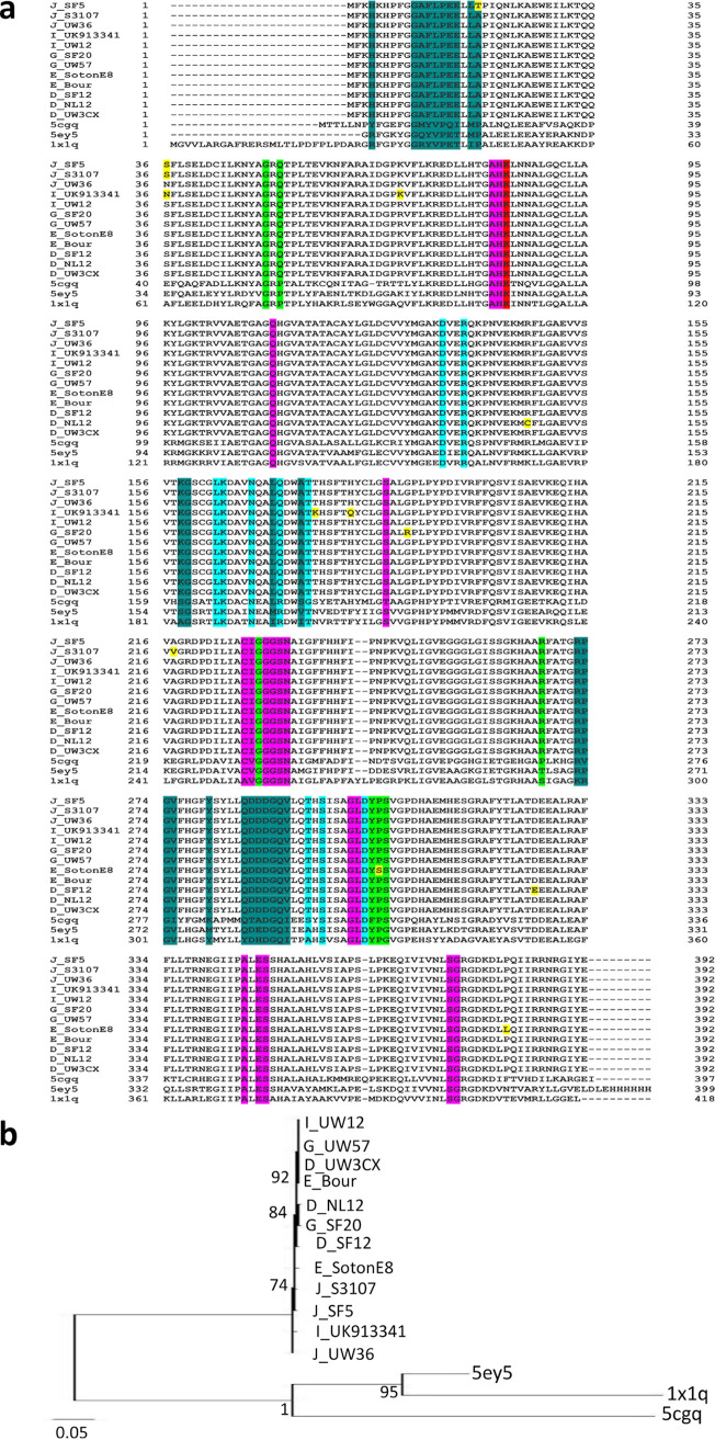 FIG 8