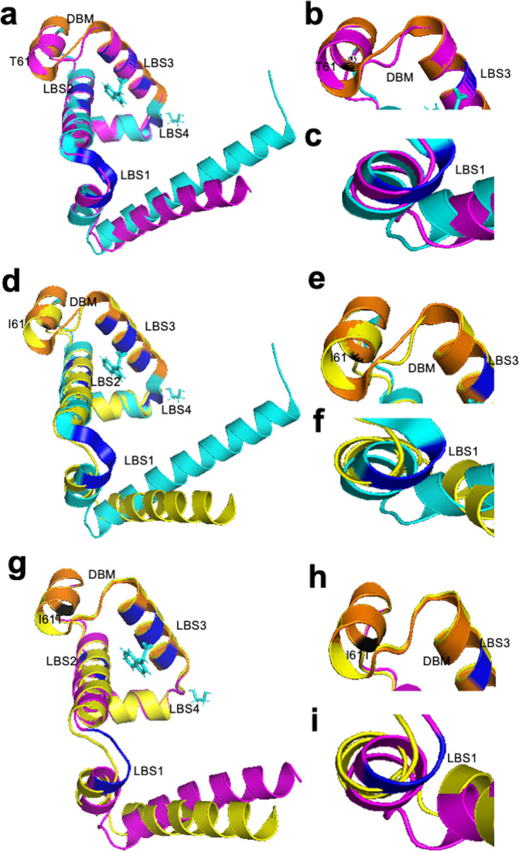 FIG 6