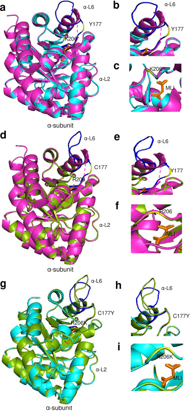 FIG 10