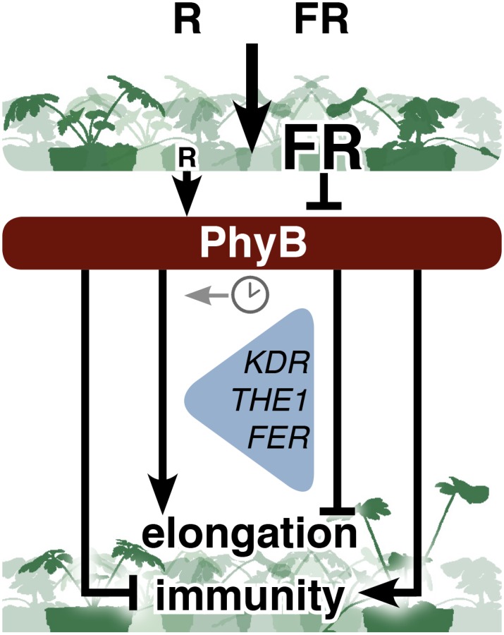 Figure 10.