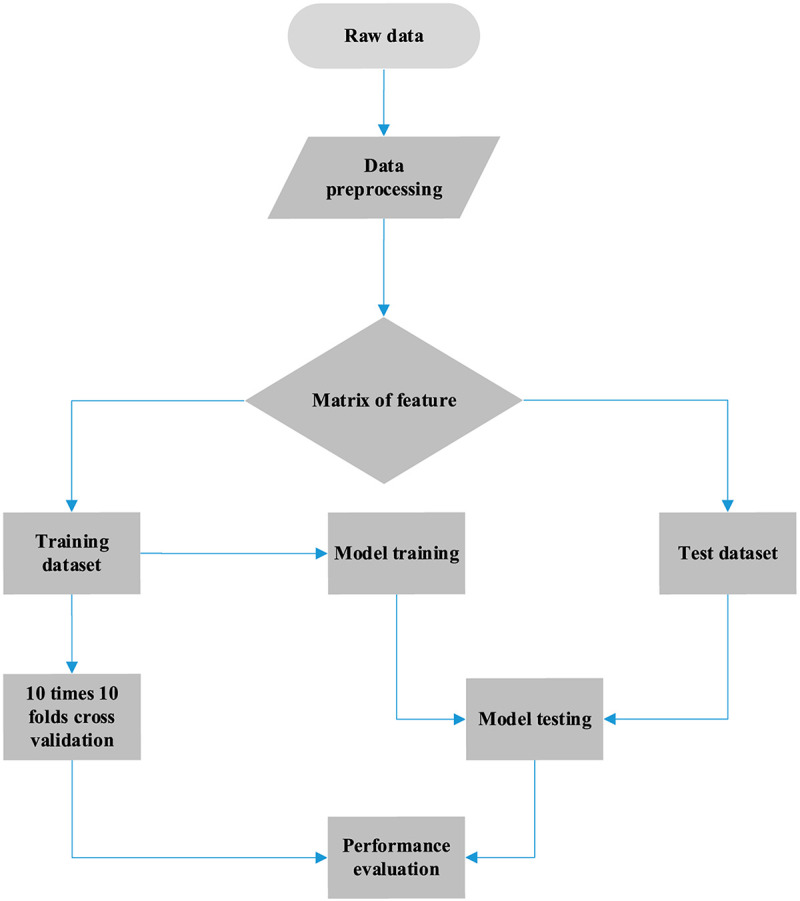 FIGURE 1