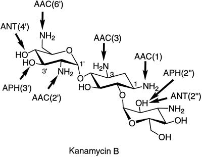 FIG. 5