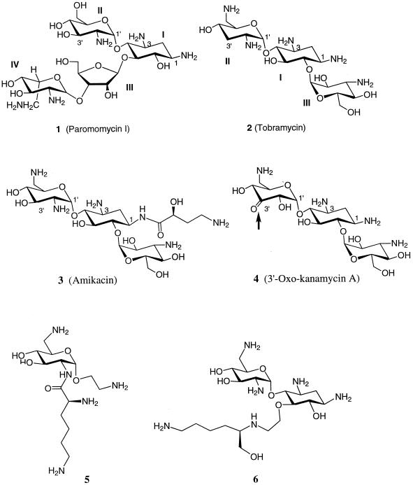 FIG. 1