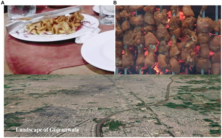 Figure 2