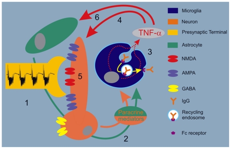 FIGURE 9