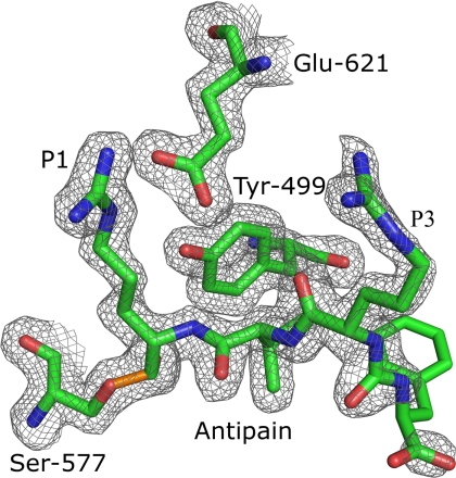 FIGURE 5.