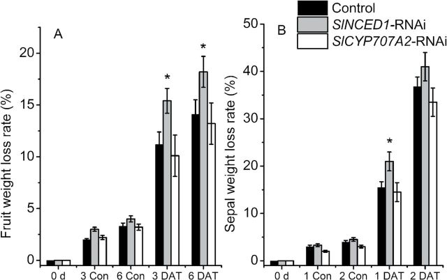 Fig. 11.