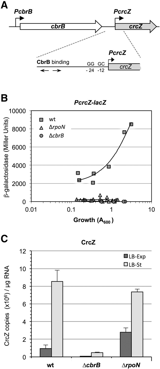 FIGURE 1.