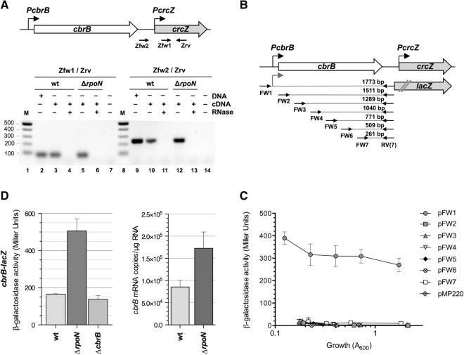 FIGURE 2.