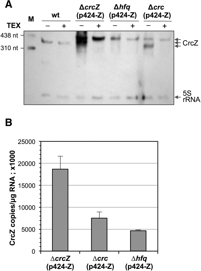 FIGURE 9.