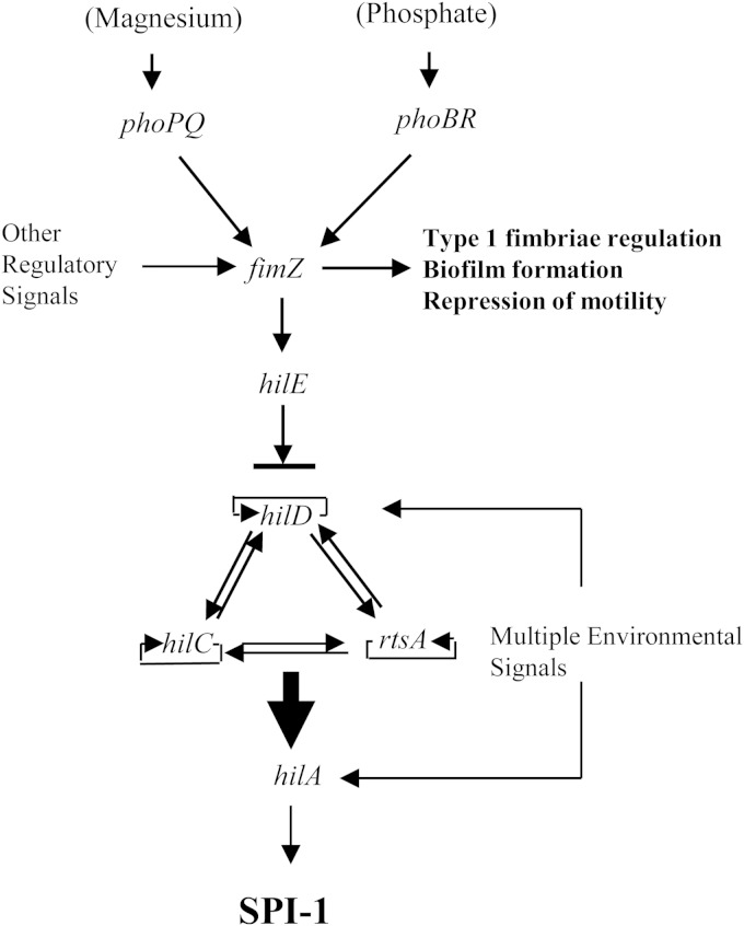 FIG 7