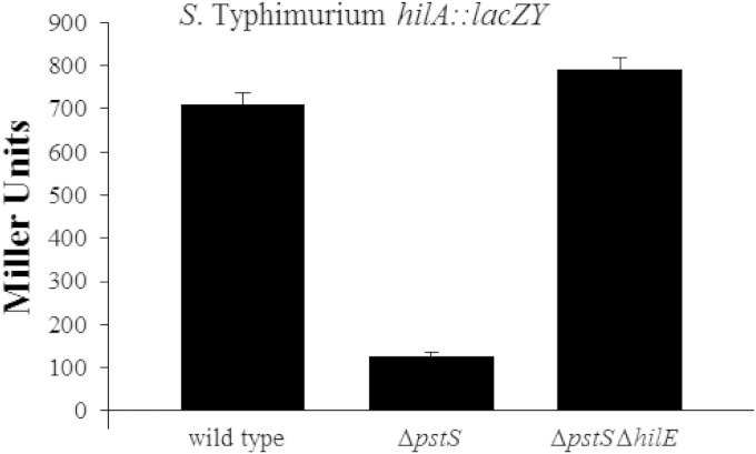 FIG 5