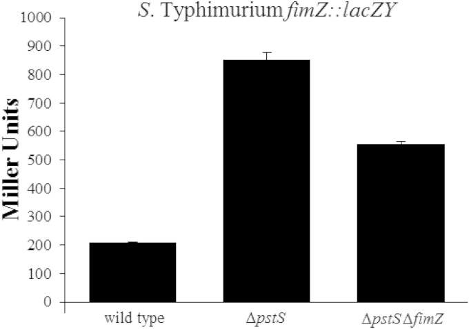 FIG 6