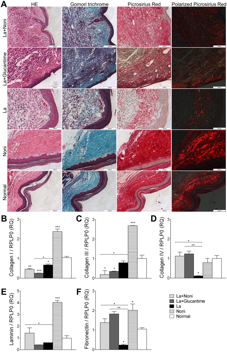 Fig 6