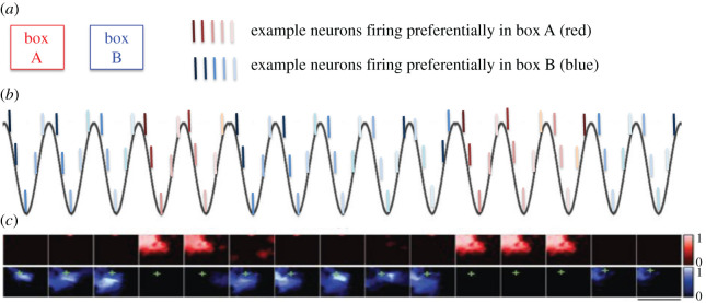 Figure 3. 