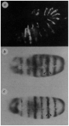 FIG. 7