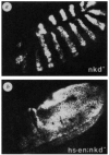FIG. 6
