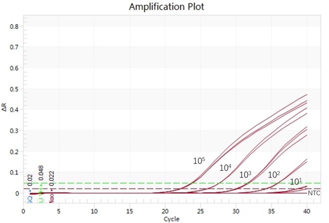 FIGURE 2