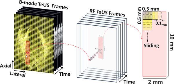 Fig. 3.