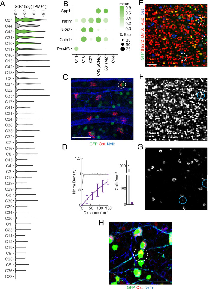 Figure 1—figure supplement 1.