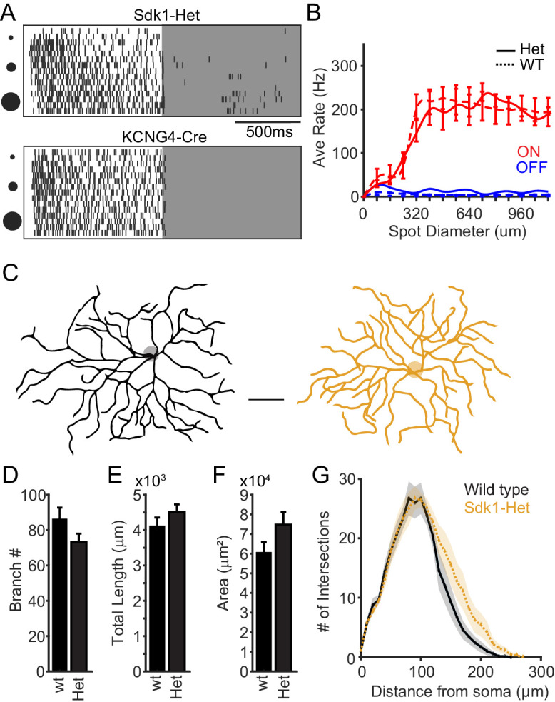 Figure 4—figure supplement 2.