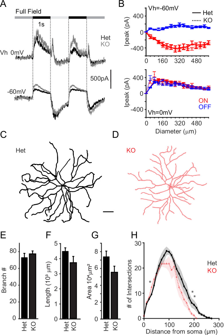 Figure 5—figure supplement 1.