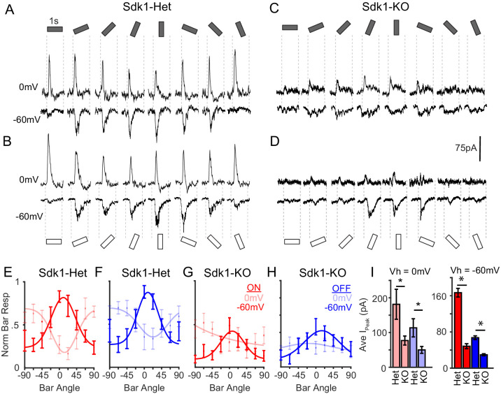 Figure 5—figure supplement 2.