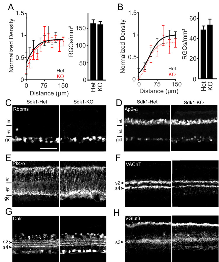 Figure 5—figure supplement 3.
