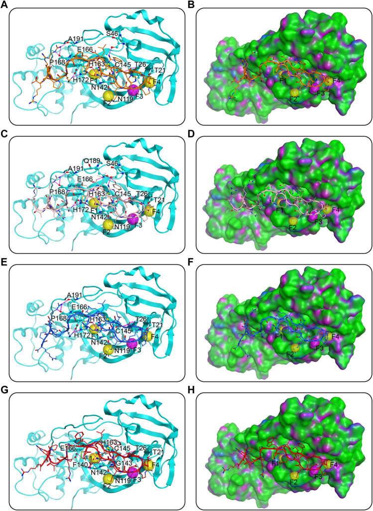 FIGURE 3