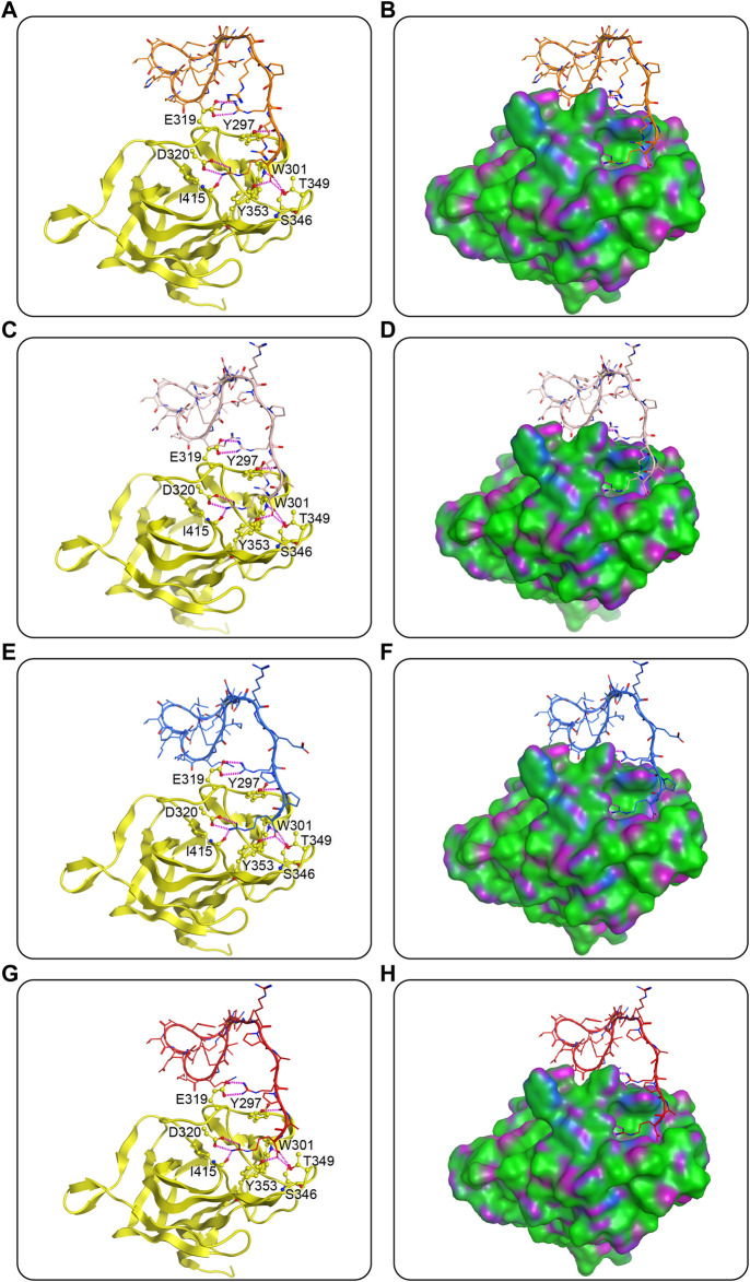 FIGURE 4