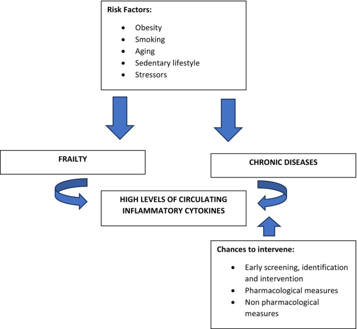 FIGURE 1