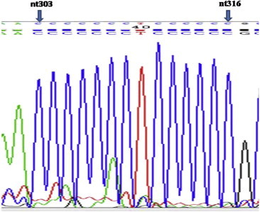 Fig. 1