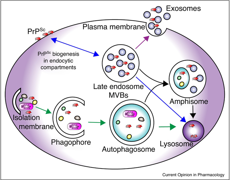 Figure 1: