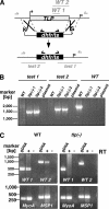 FIG. 6.