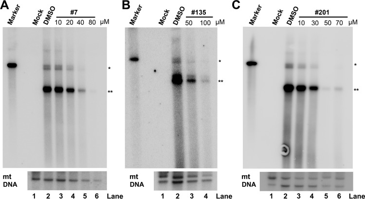 FIG 11