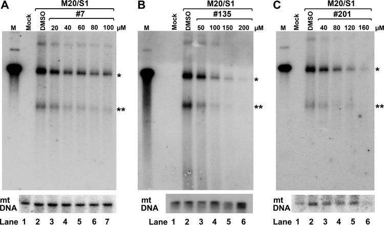 FIG 9