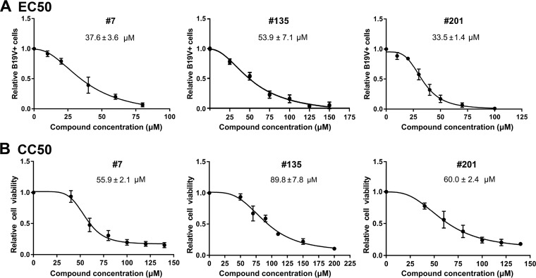 FIG 10